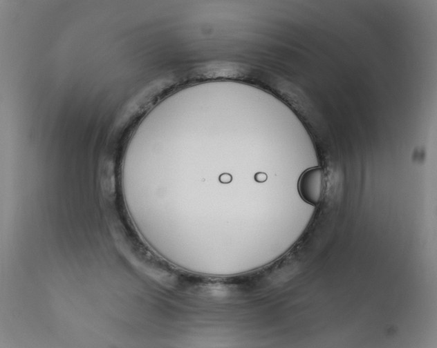 X0000110720254200907022053