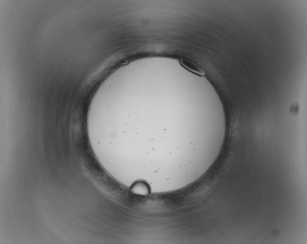 X0000110720256200907022053