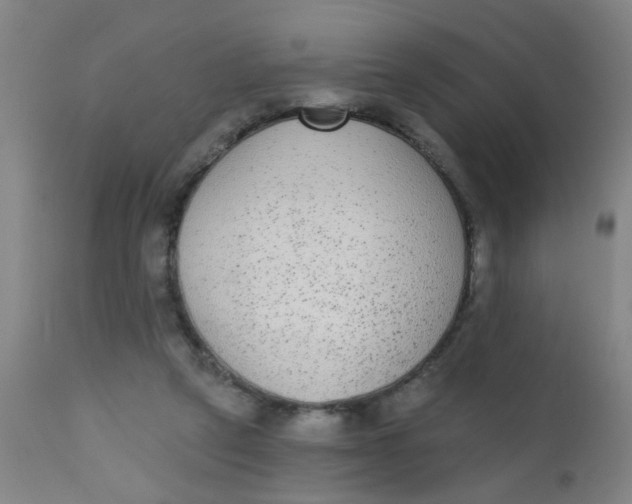 X0000110720257200907022053