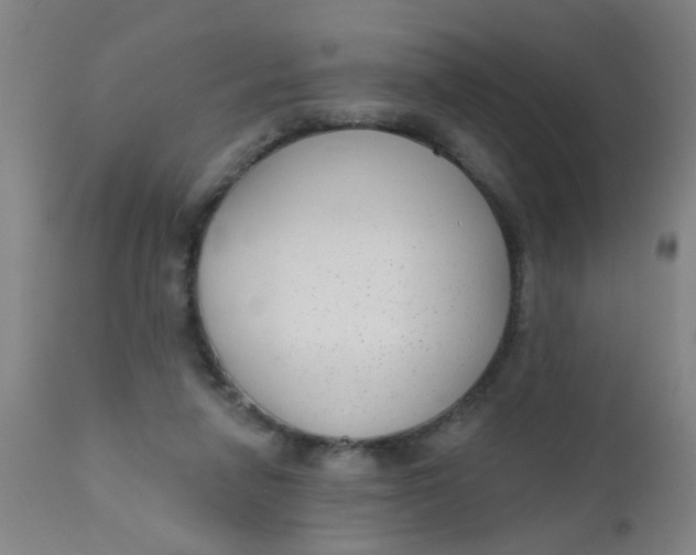 X0000110720258200907022053