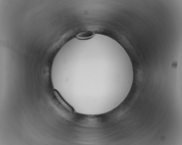 X0000110720260200907022053