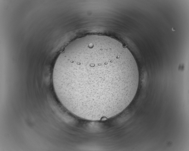 X0000110720261200907022053