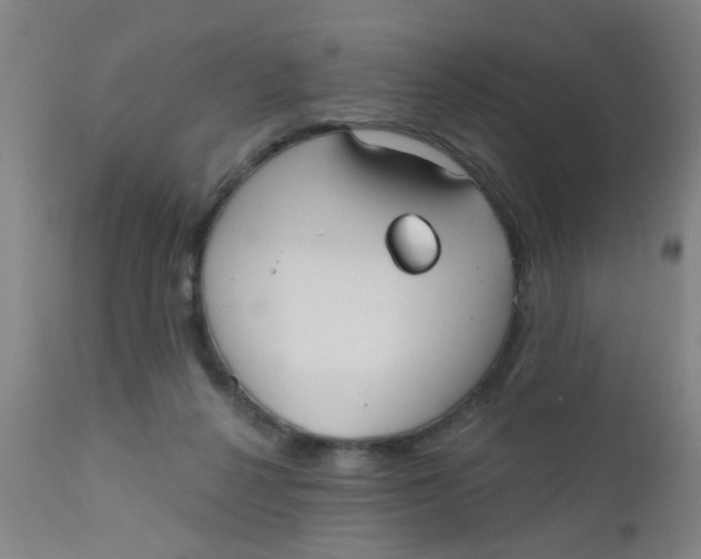 X0000110720264200907022053