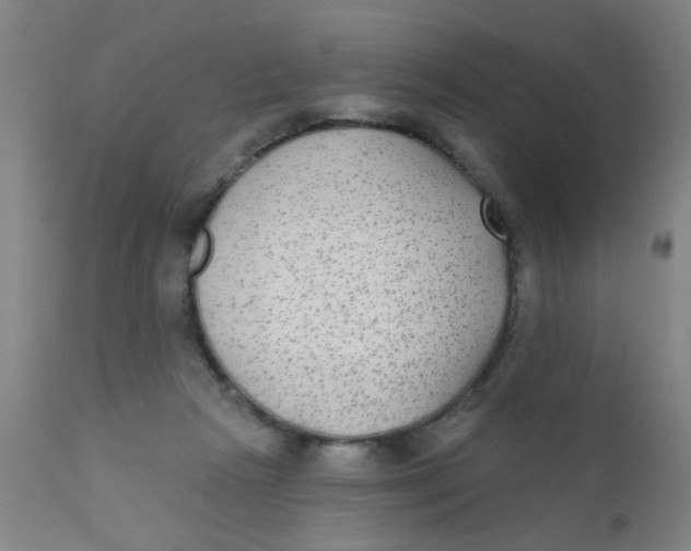 X0000110720265200907022053