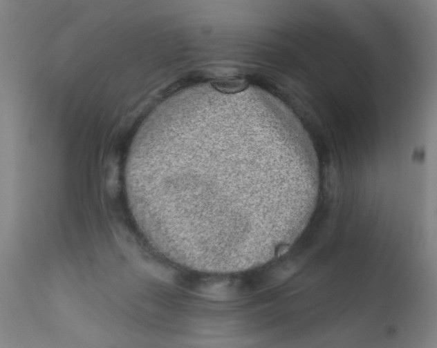 X0000110720267200907022053