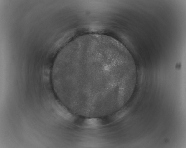 X0000110720269200907022053