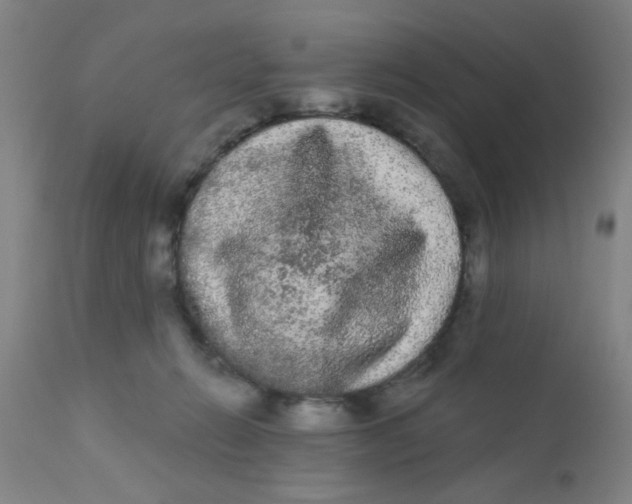 X0000110720270200907022053