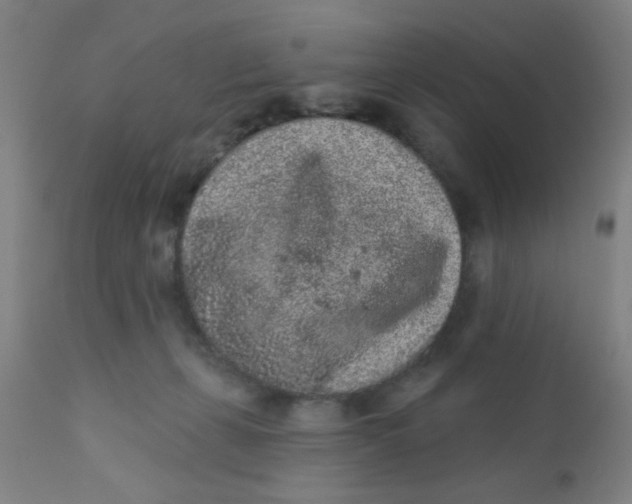 X0000110720271200907022053