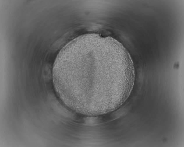 X0000110720273200907022053