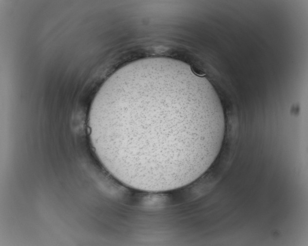 X0000110720274200907022053