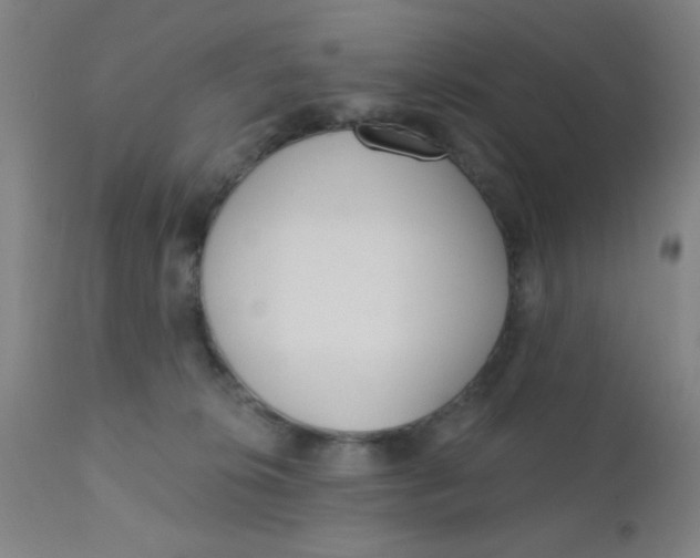 X0000110720276200907022053