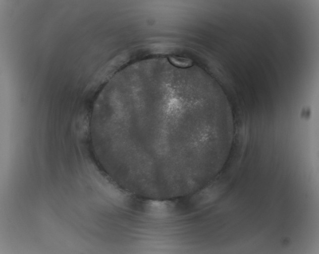 X0000110720277200907022053