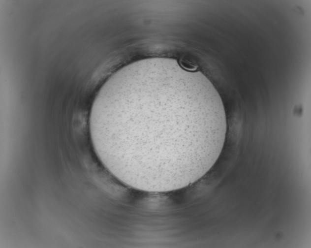 X0000110720278200907022053