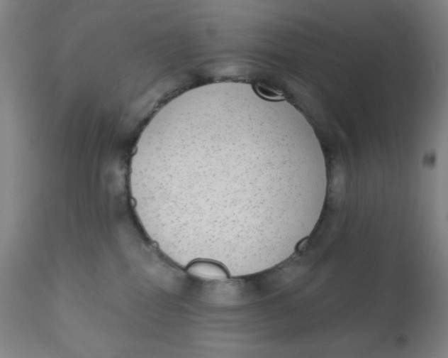 X0000110720282200907022053