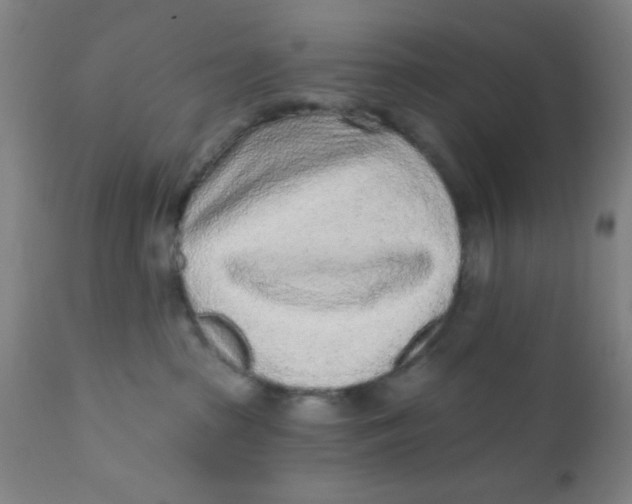 X0000110720285200907022053