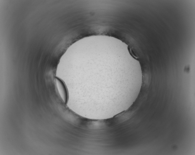 X0000110720286200907022053