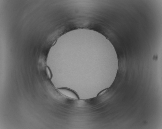 X0000110720287200907022053