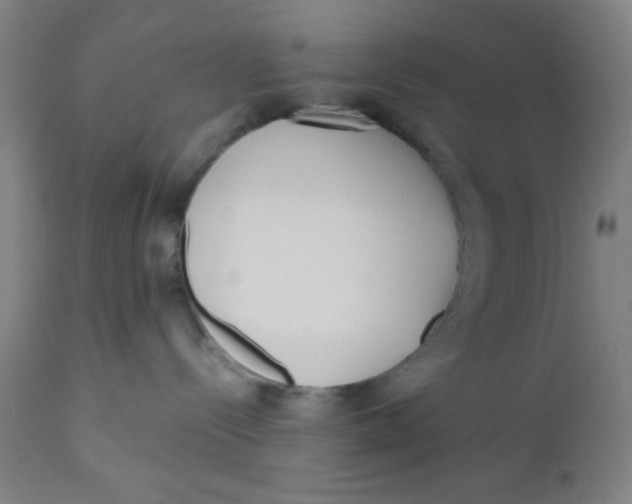 X0000110720288200907022053