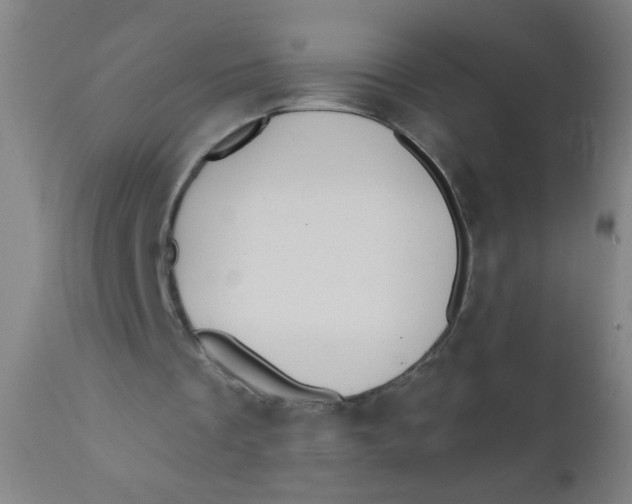 X0000110720289200907022053