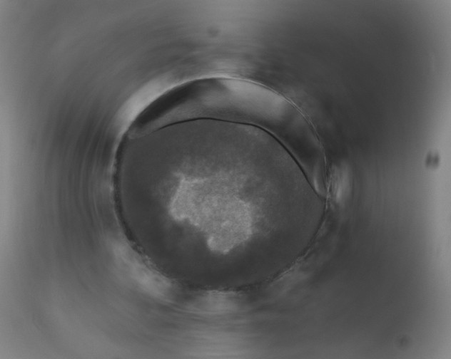 X0000110720292200907022053