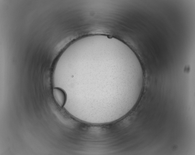 X0000110720298200907022053