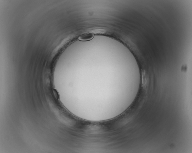 X0000110720300200907022053