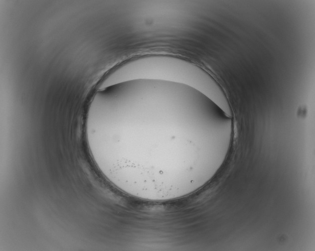 X0000110720301200907022053