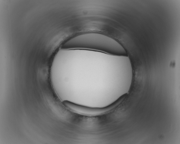 X0000110720304200907022053