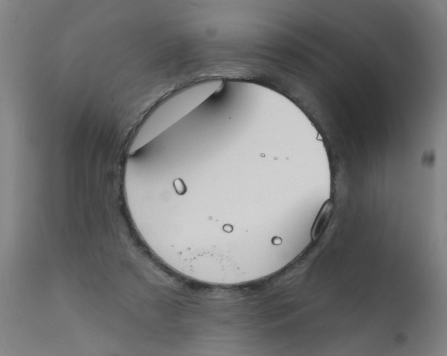 X0000110720305200907022053