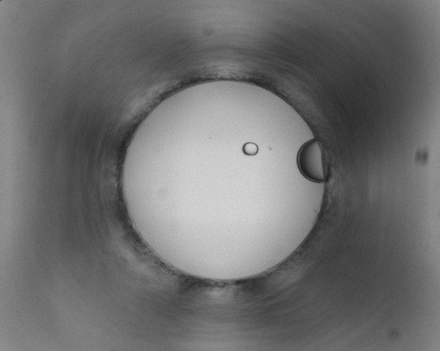 X0000110720306200907022053