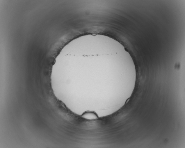 X0000110720307200907022053