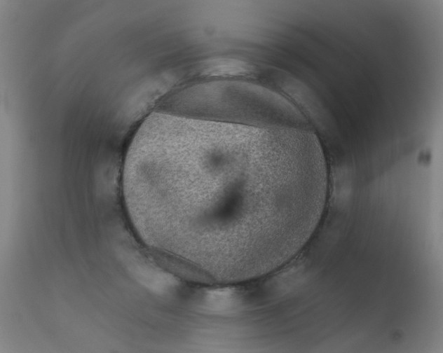 X0000110720309200907022053