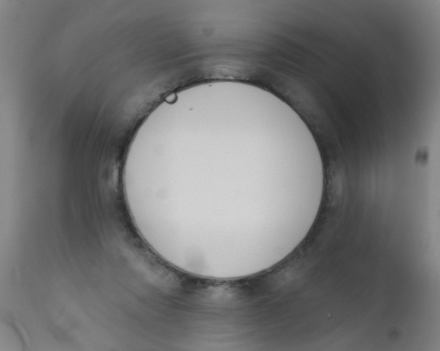 X0000110720310200907022053