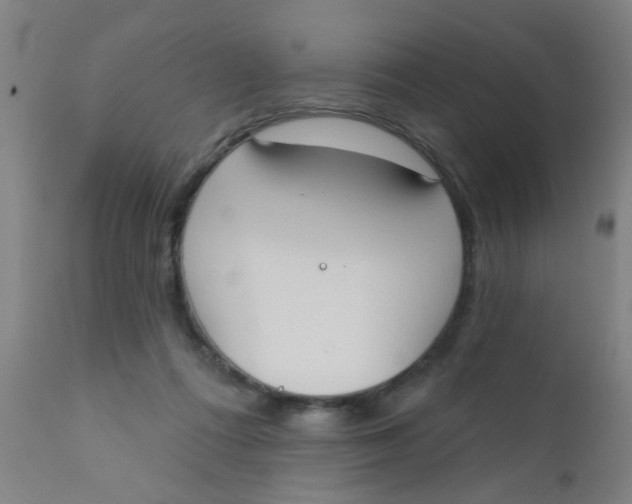 X0000110720312200907022053