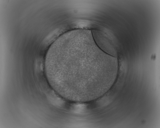 X0000110720313200907022052