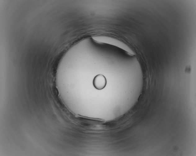 X0000110720316200907022052