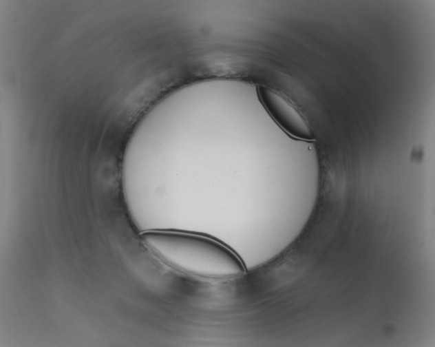 X0000110720317200907022052