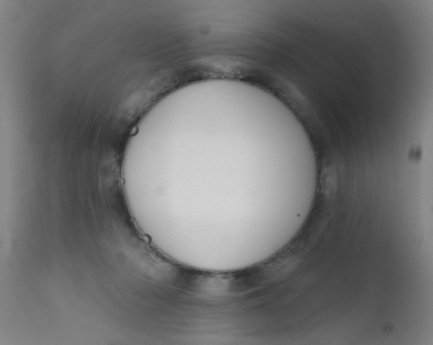 X0000110720318200907022052