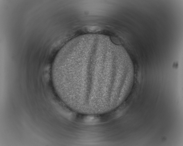 X0000110720319200907022052