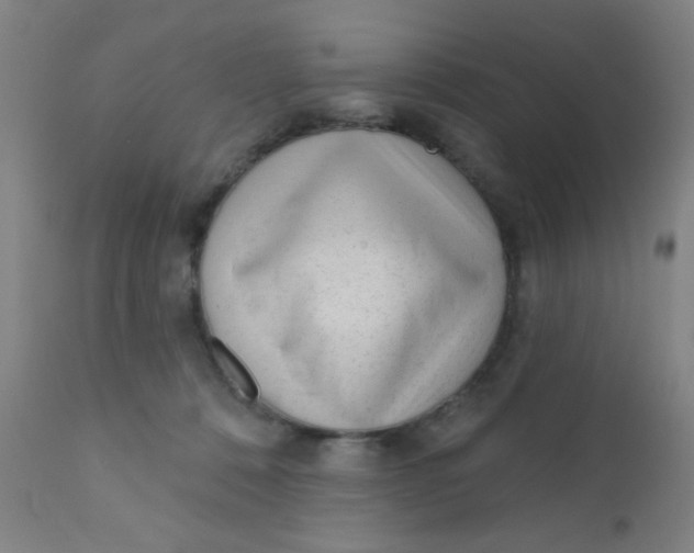 X0000110720320200907022052