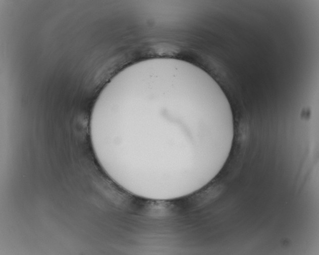 X0000110720321200907022052