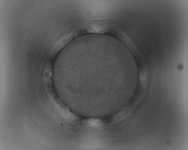 X0000110720322200907022052