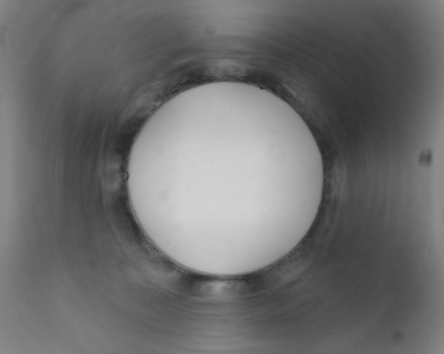 X0000110720323200907022052