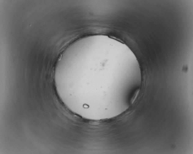 X0000110720325200907022052