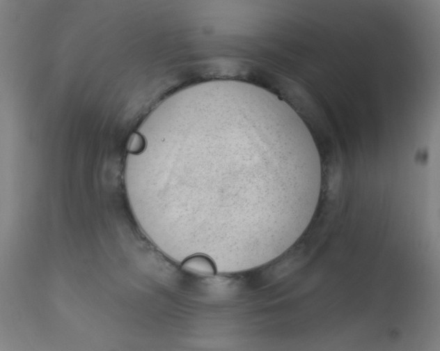 X0000110720326200907022052