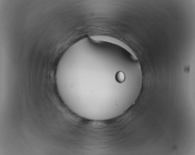 X0000110720327200907022052