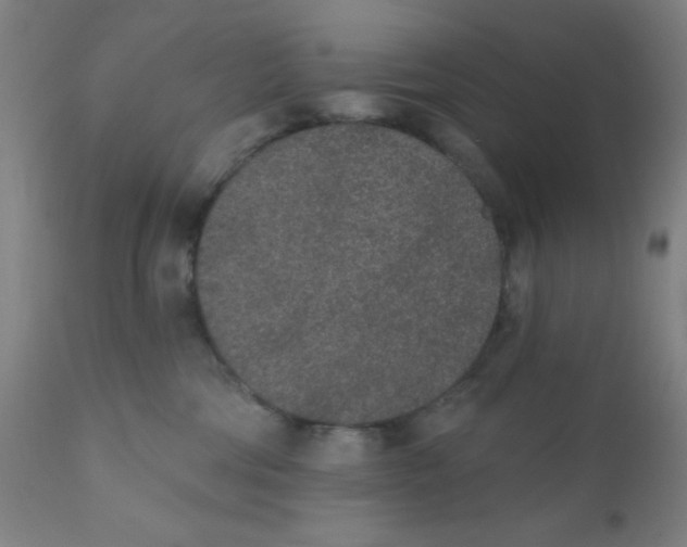 X0000110720330200907022052