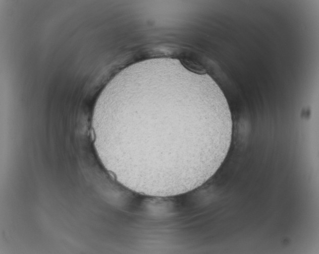 X0000110720331200907022052