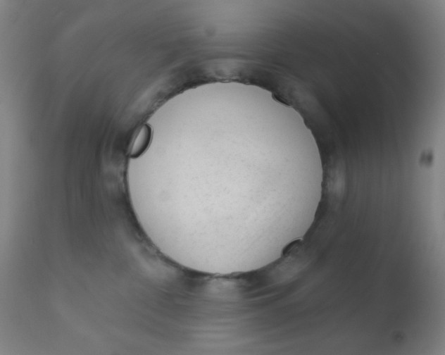 X0000110720332200907022052