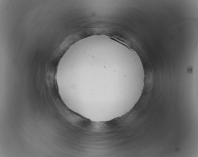 X0000110720333200907022052